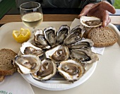Oysters in a restaurant in Cancale (Brittany)