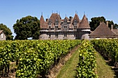 Chateau Monbazillac, Dordogne, France