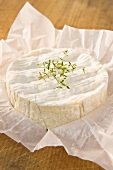 Camembert with thyme on paper