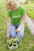 Frau kniet im Gemüsebeet mit Salatpflanzen und Giesskanne
