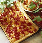 Apricot and blackcurrant tart on baking tray