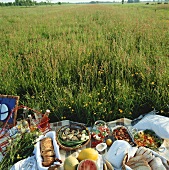Summer picnic in a meadow