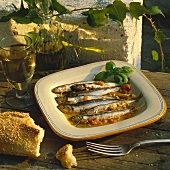Sarde al forno (Baked sardines, Italy)