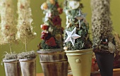 Christmas arrangements (detail)