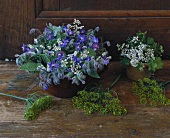 Flowering borage, dill and coriander (table decoration)