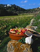 Tomato salad out of doors (Spain)