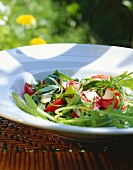 Rocket and tomato salad with Parmesan out of doors