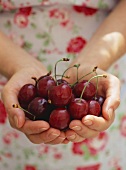 Woman holding cherries in her hands