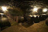 Wine barrels in wine cellar, Istvan Szepsy, Mad, Hungary