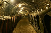Wine cellar of Royal Tokaji Wine Company, Mad, Tokaj, Hungary