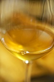 Ein Glas Tokajer, Weingut Arvay Winery, Tokaj, Ungarn