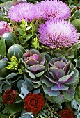 Arrangement of flowering artichokes, ornamental cabbages & roses