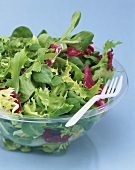 Mixed salad leaves in plastic bowl with plastic fork