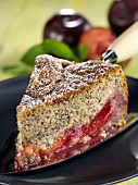 A piece of poppy seed cake with plum filling