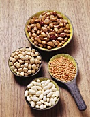 Various dried pulses