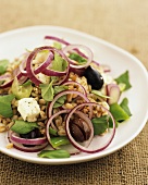 Spelt salad with onions, olives and feta cheese