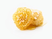 Honigwaben mit Honig