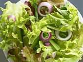 Grüner Salat mit frischen Zwiebelringen