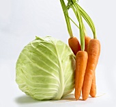Carrots and a cabbage