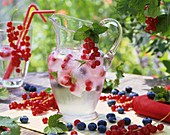 Drink with redcurrant and blueberry ice cubes