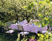 Laid table among apple trees in the open air