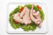 Five pigs' tails on a plate with salad garnish