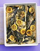 Sea bream fillets with lemon and herbs
