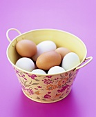 Eggs in a pail