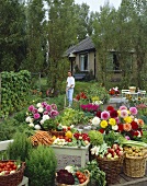 Große Gartenernte mit Blumen und Gemüse