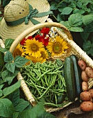 Korb mit Gemüse und Blumen