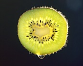 Slice of kiwi fruit with drop, backlit