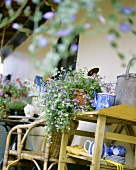 Lobelien und Gartenzubehör auf Tischchen