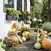 House wall decorated with autumn flowers, squashes and pumpkins