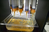 Molecular cuisine: making melon caviar