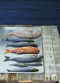 Various types of saltwater fish (named)