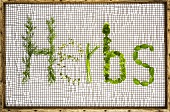 The word 'Herbs' in dill, thyme, chives, parsley, mint