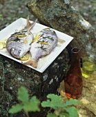 Oven-baked sea bream with herbs