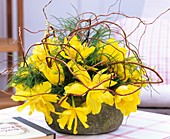 Arrangement of yellow tulips, asparagus fern, corkscrew willow