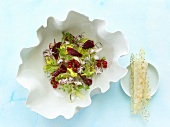 Mixed salad with redcurrants and squid