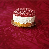 Sponge cake with mascarpone cream and raspberries