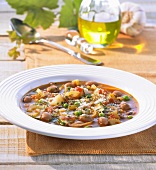Minestrone (Vegetable soup, Italy)