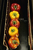 Peppers on an oven rack in the oven