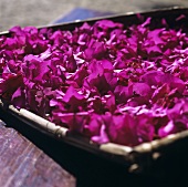Purple flowers in a small basket