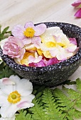 Flowers with drops of water in a bowl