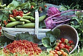 Trug of vegetables and fresh berries in grass