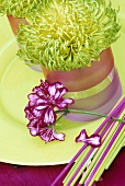 Chrysanthemums in two glasses and a geranium flower