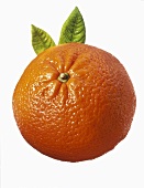 Eine Mandarine vor weißem Hintergrund