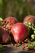 Red Williams pears