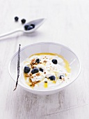 Yogurt cream with blueberries