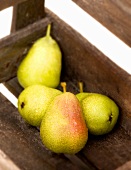 Freshly washed pears in a wooden box